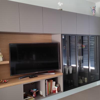 Parete Tv Bologna